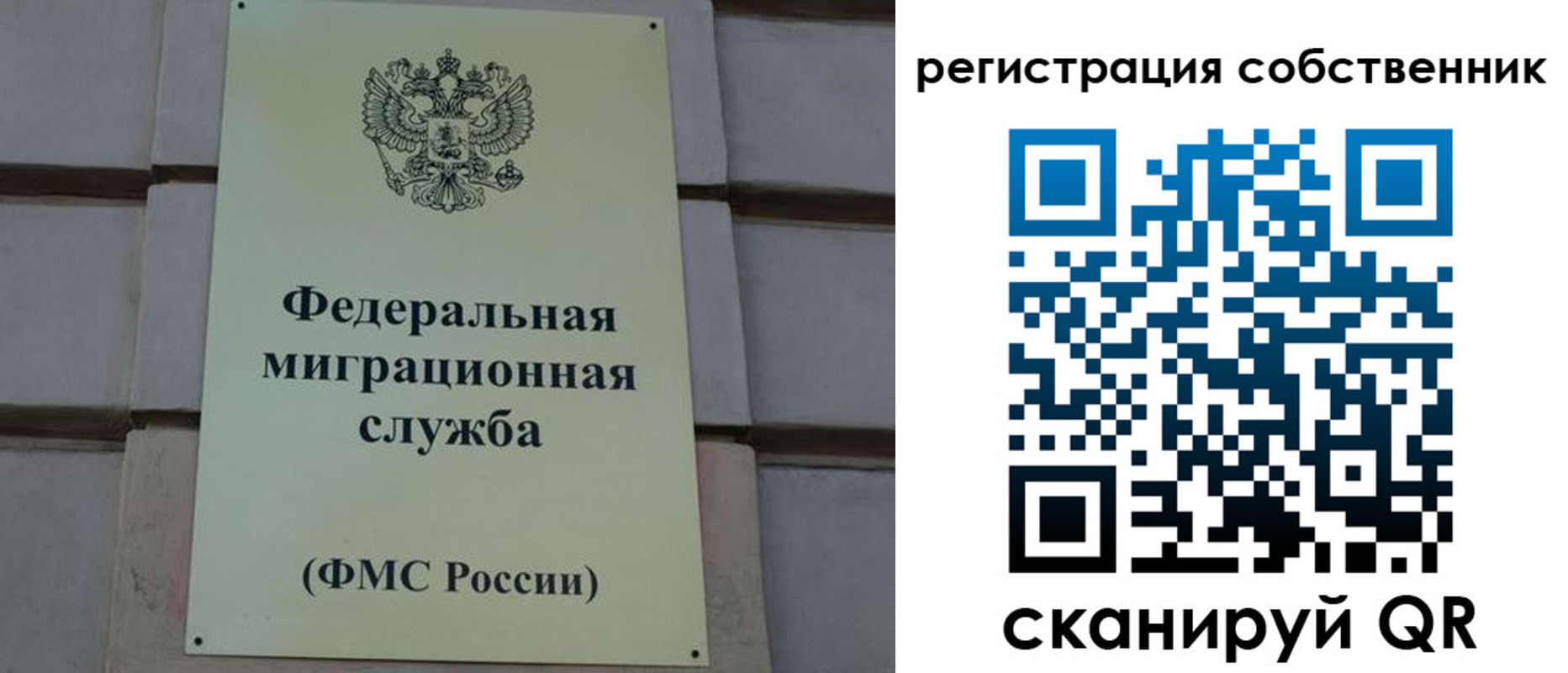прописка гарантия в Вольске